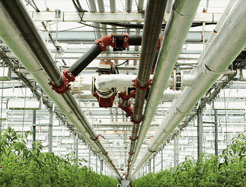 Produktionsüberwachung-Gartenbau-SMS-Störmelder-Alarmmelder-TAS-X21